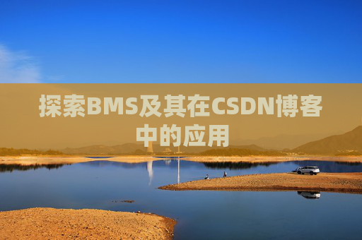探索BMS及其在CSDN博客中的应用