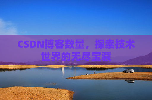 CSDN博客数量，探索技术世界的无尽宝藏